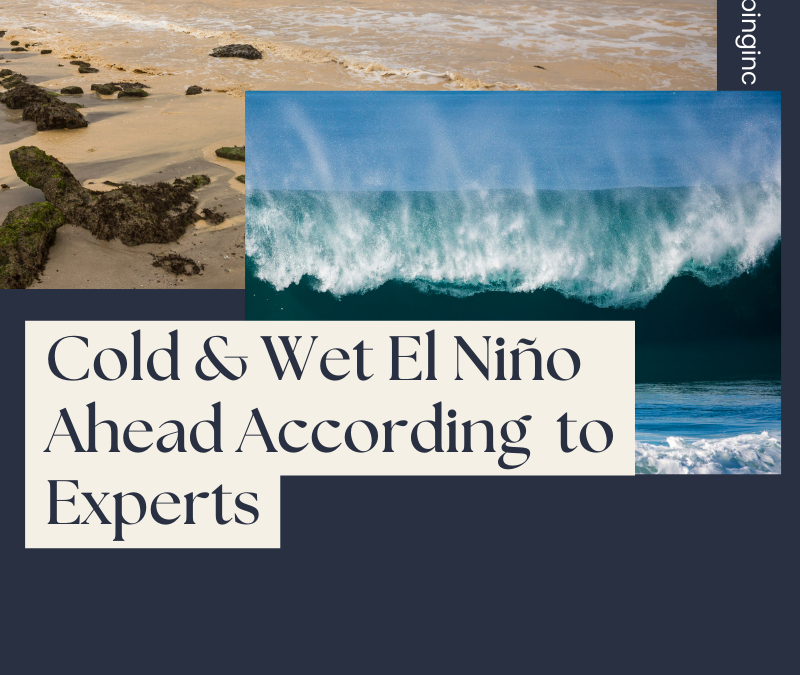 According  to Experts: Cold & Wet El Niño Year Ahead… Prepare Your Home For Winter Today